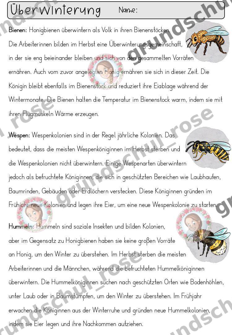 Materialvorschau, Seite 4