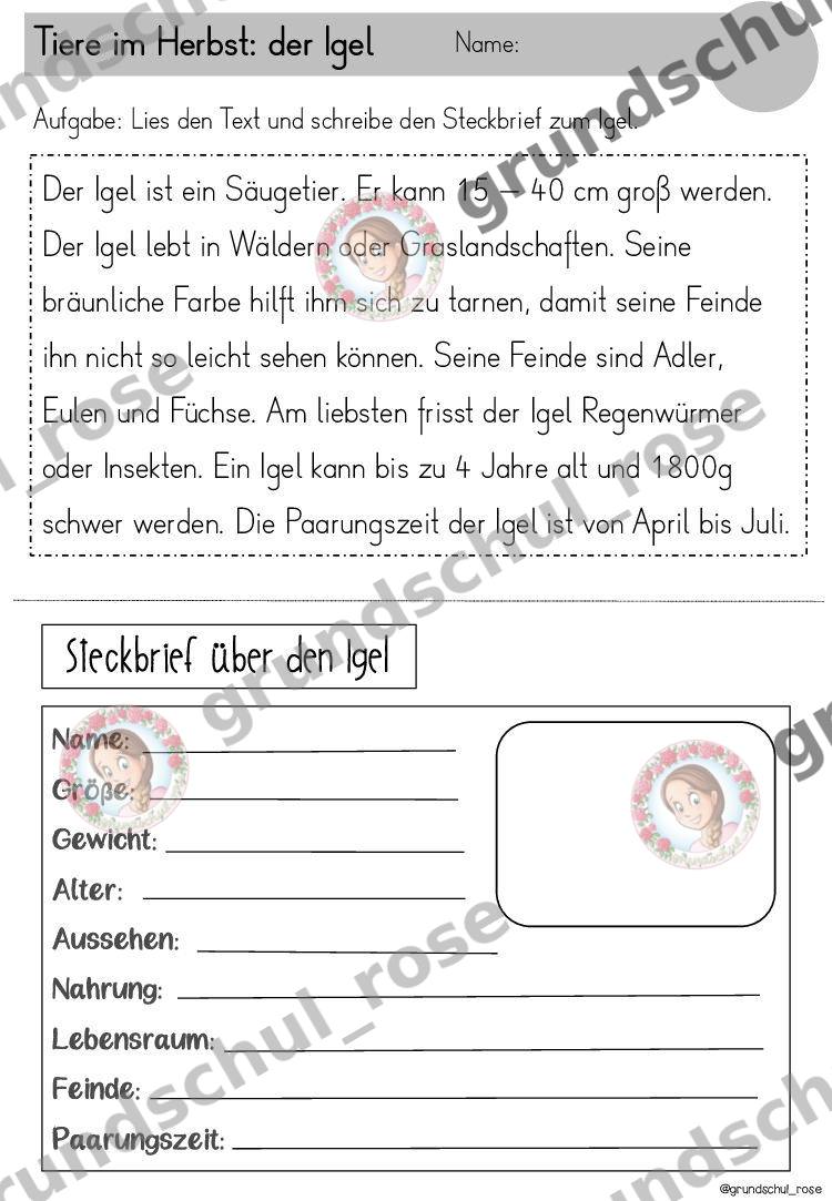 Materialvorschau, Seite 11