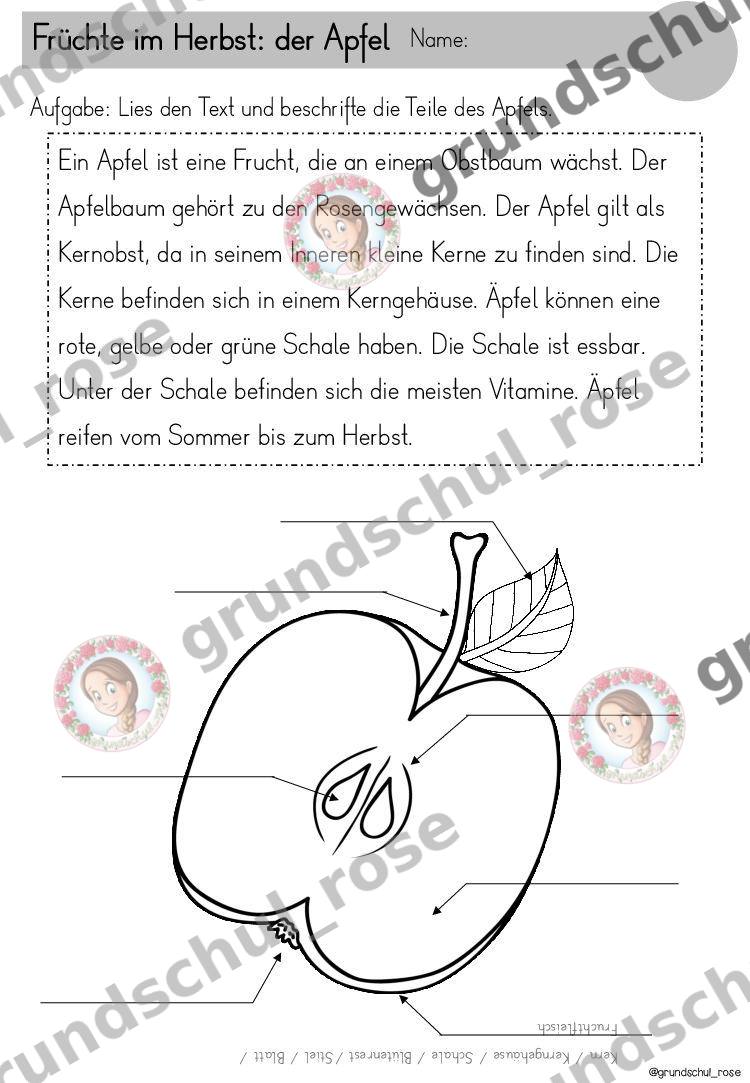 Materialvorschau, Seite 12