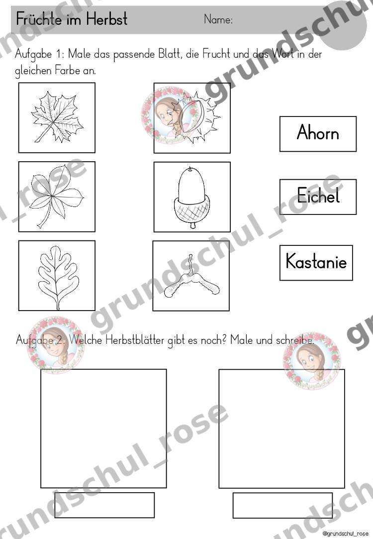 Materialvorschau, Seite 13