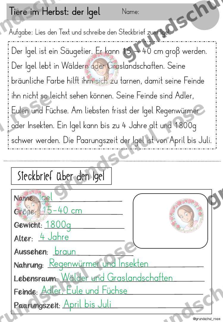 Materialvorschau, Seite 27