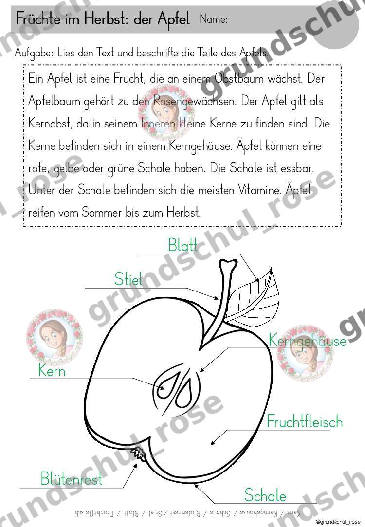 Materialvorschau, Seite 28