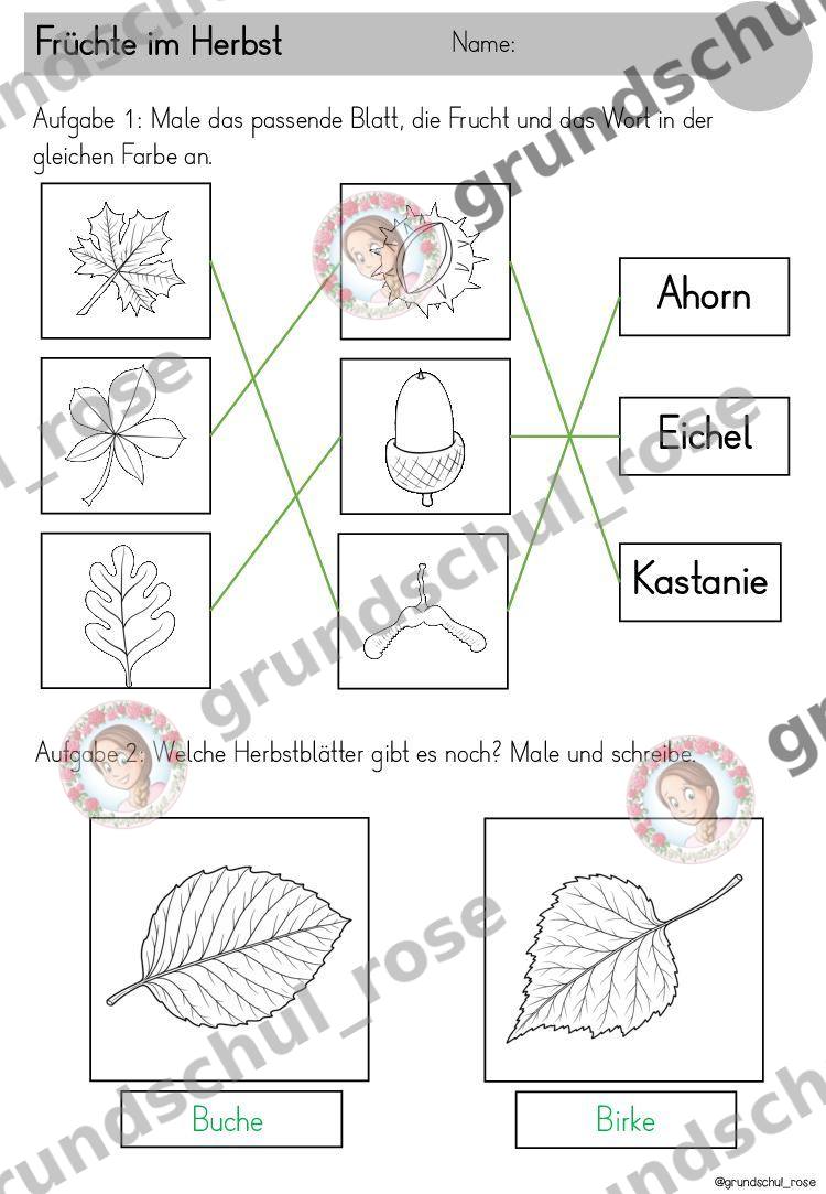 Materialvorschau, Seite 29