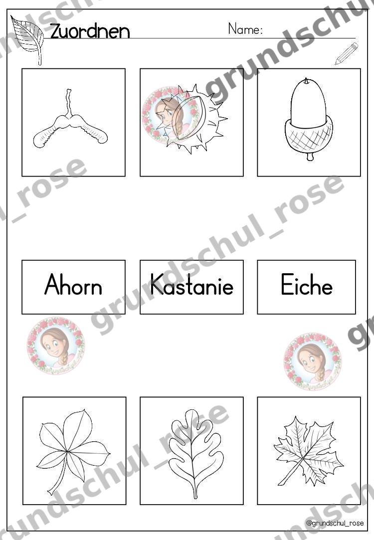 Materialvorschau, Seite 14