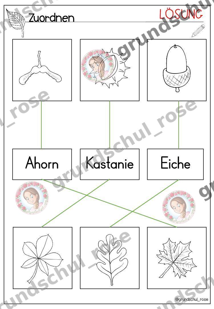 Materialvorschau, Seite 26