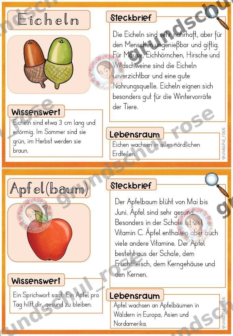 Materialvorschau, Seite 10