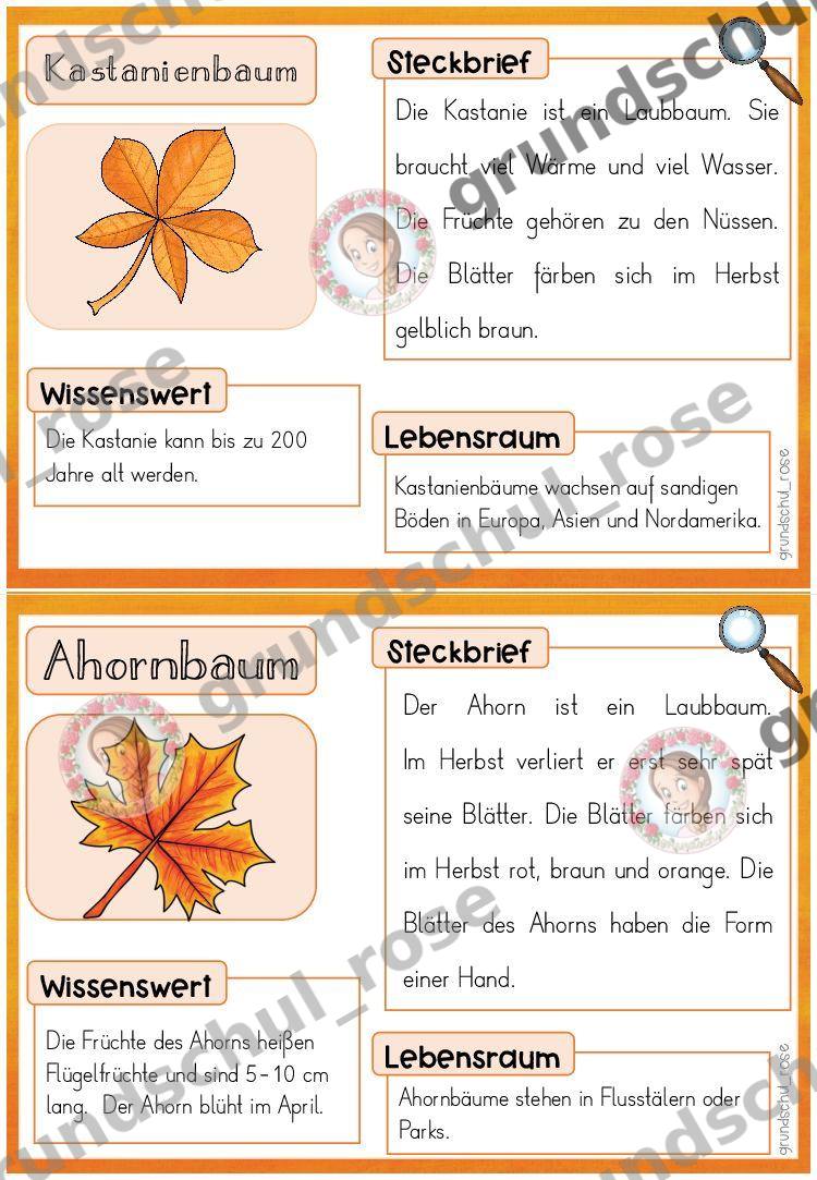 Materialvorschau, Seite 11