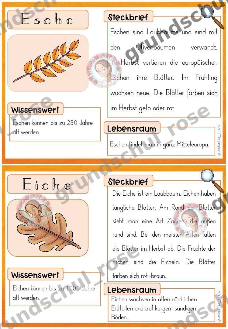 Materialvorschau, Seite 12