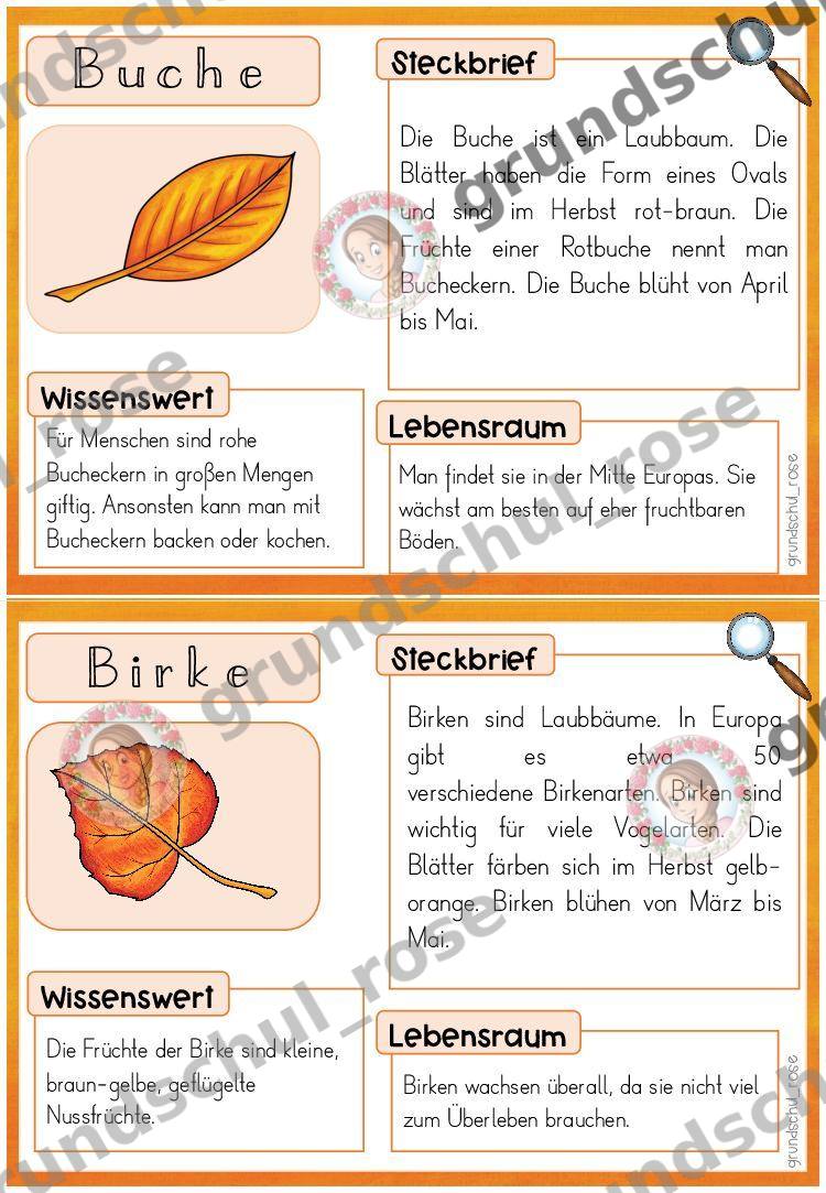 Materialvorschau, Seite 13