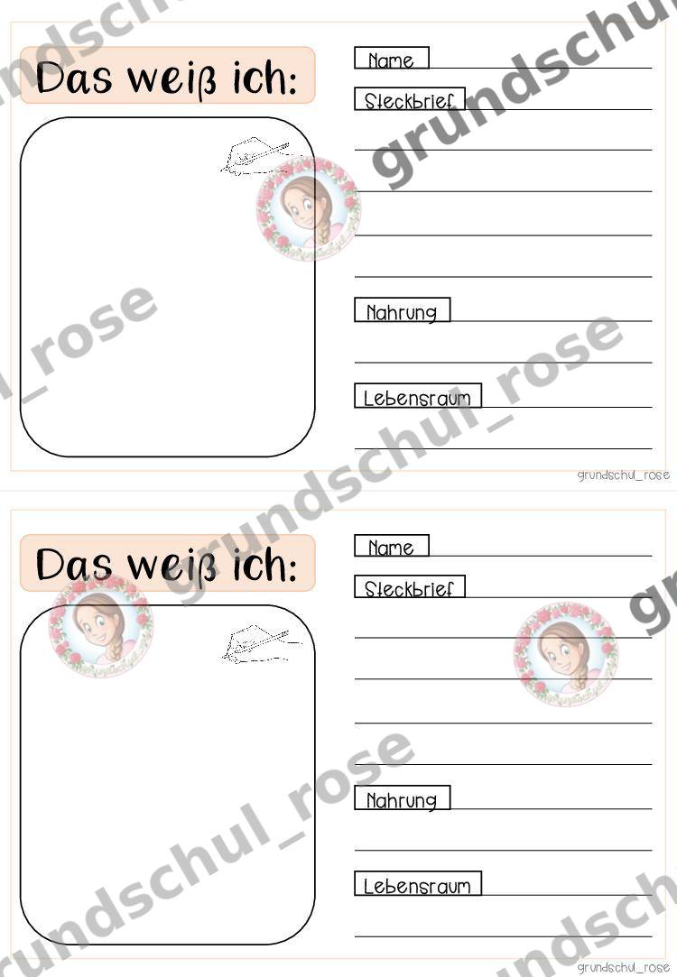 Materialvorschau, Seite 15
