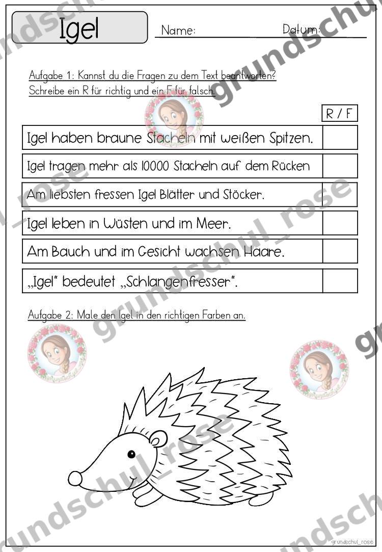 Materialvorschau, Seite 16