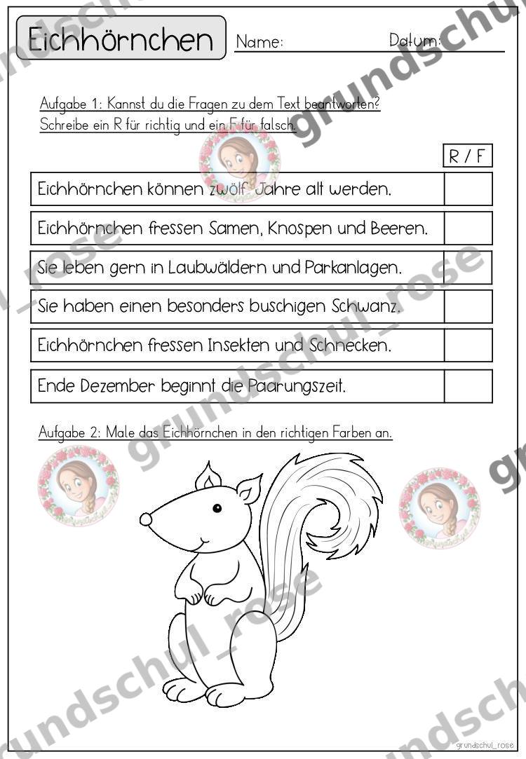 Materialvorschau, Seite 17