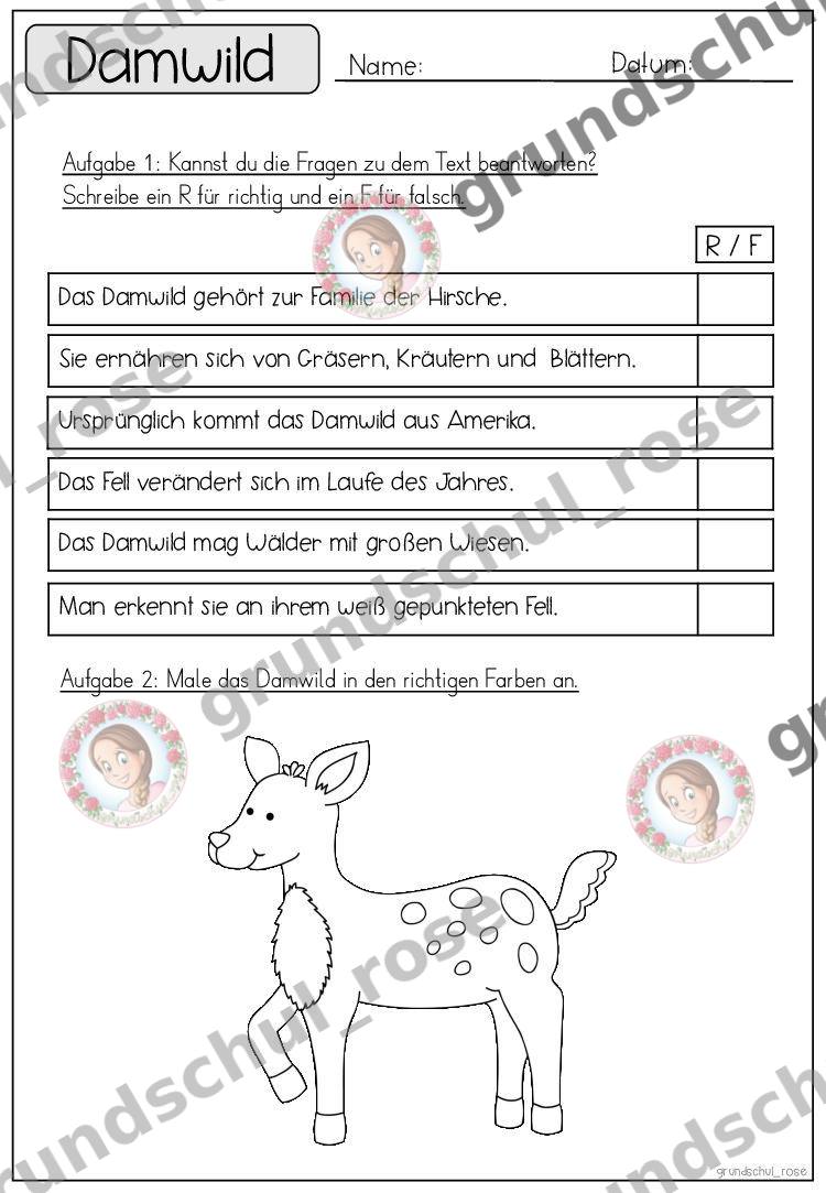 Materialvorschau, Seite 20