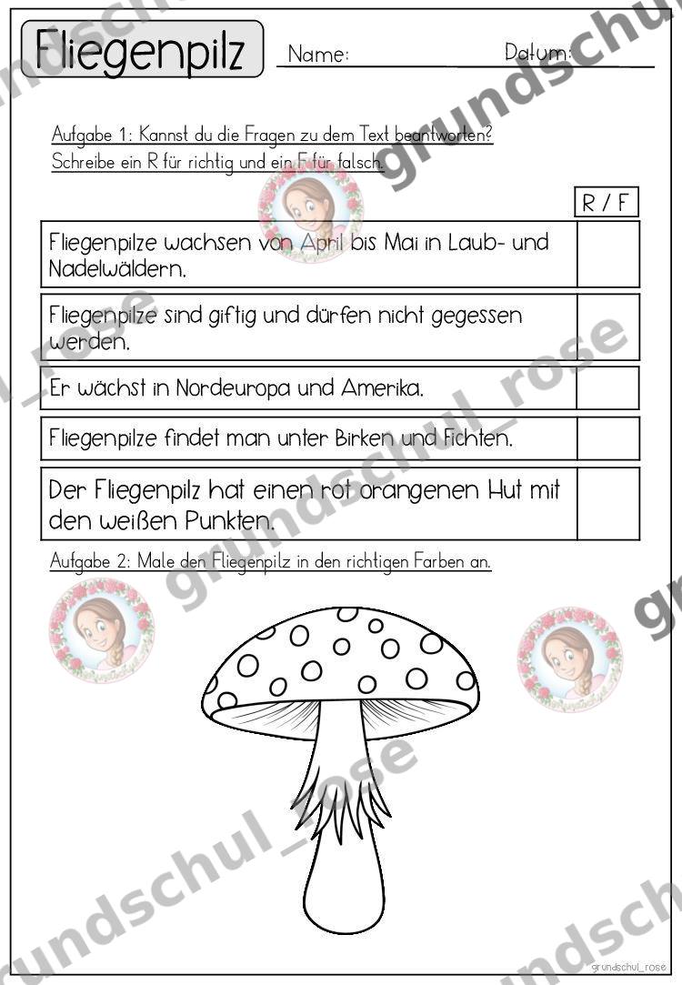 Materialvorschau, Seite 24