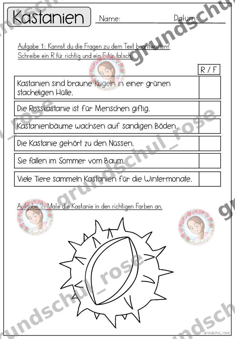 Materialvorschau, Seite 25