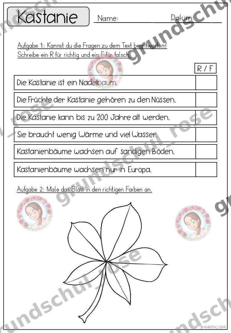 Materialvorschau, Seite 28