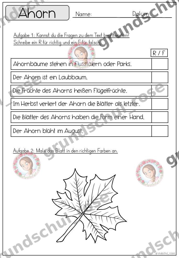 Materialvorschau, Seite 29
