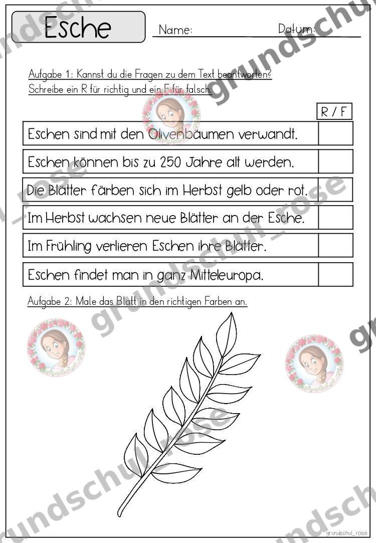 Materialvorschau, Seite 30