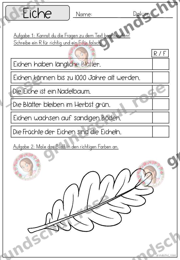 Materialvorschau, Seite 31