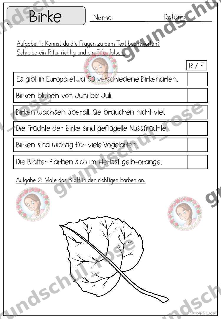 Materialvorschau, Seite 32