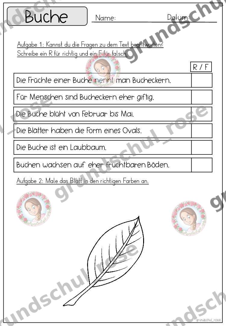 Materialvorschau, Seite 33