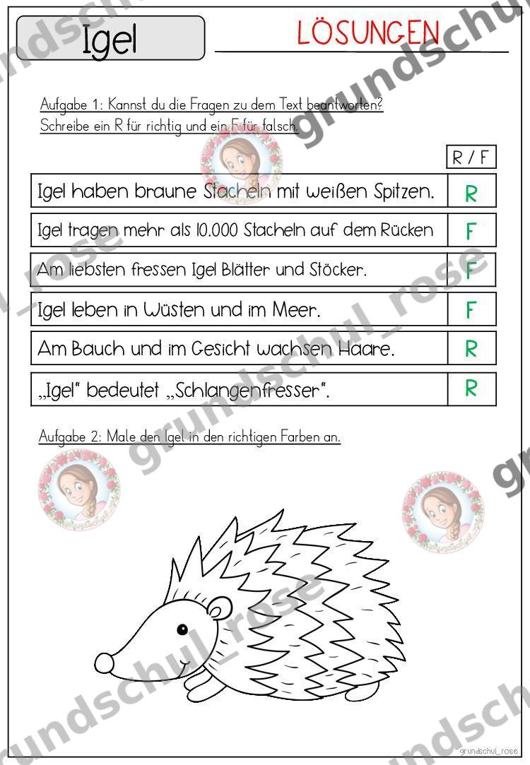 Materialvorschau, Seite 35