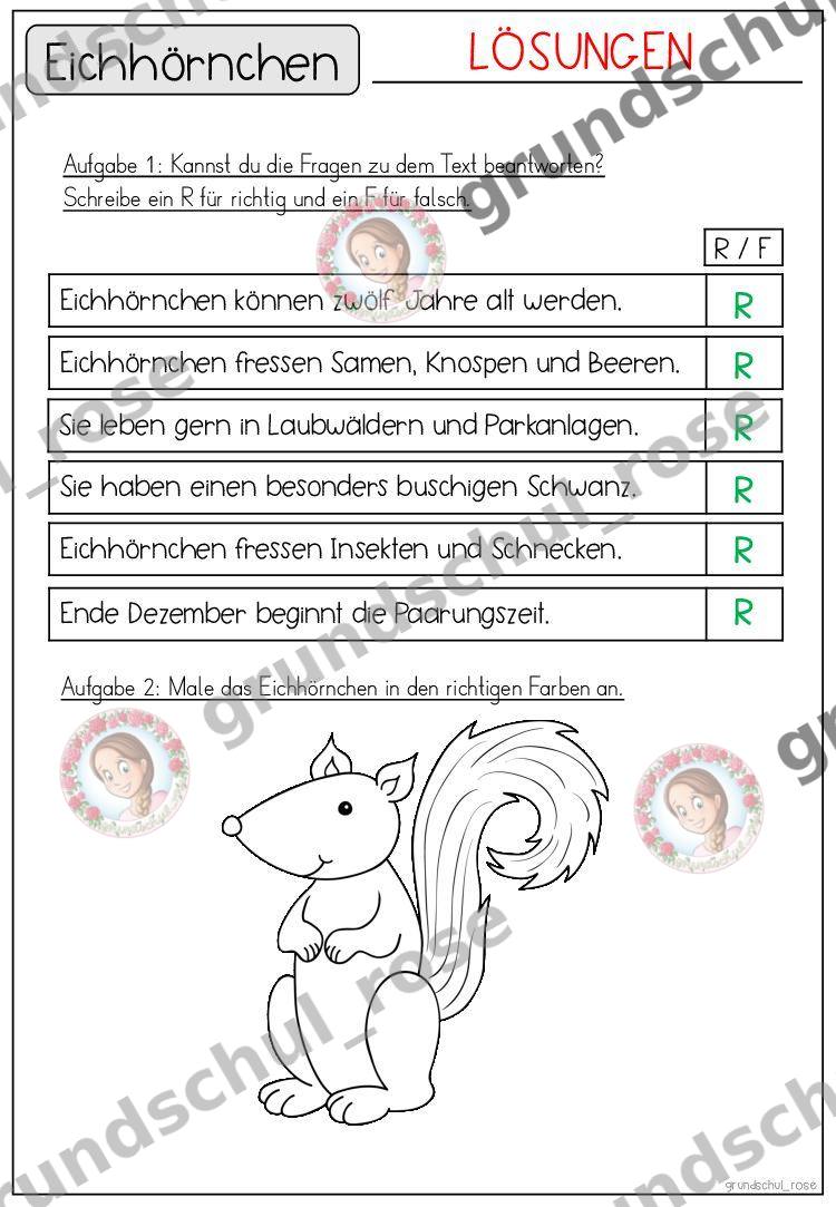 Materialvorschau, Seite 36
