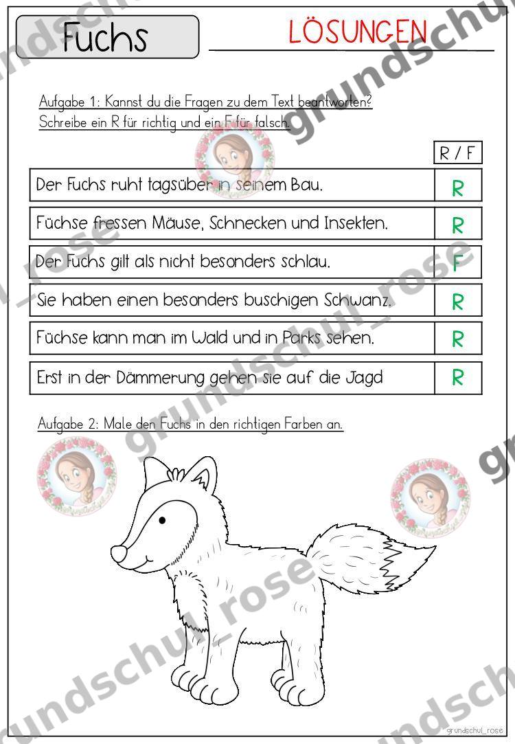 Materialvorschau, Seite 37