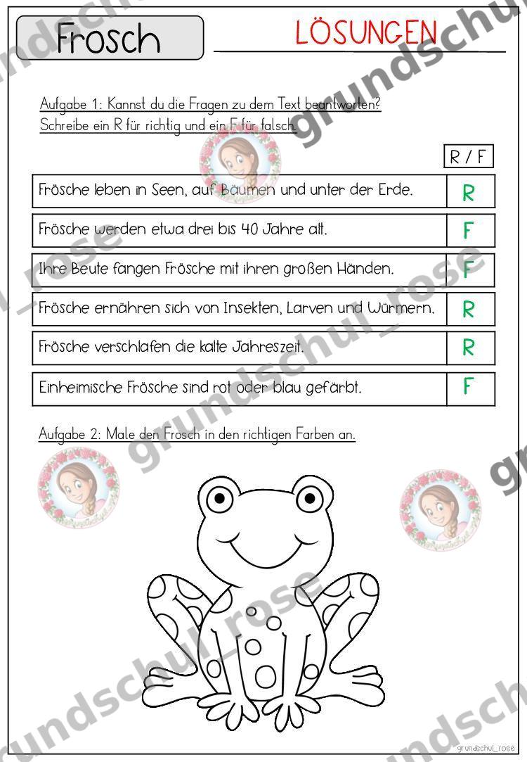 Materialvorschau, Seite 38