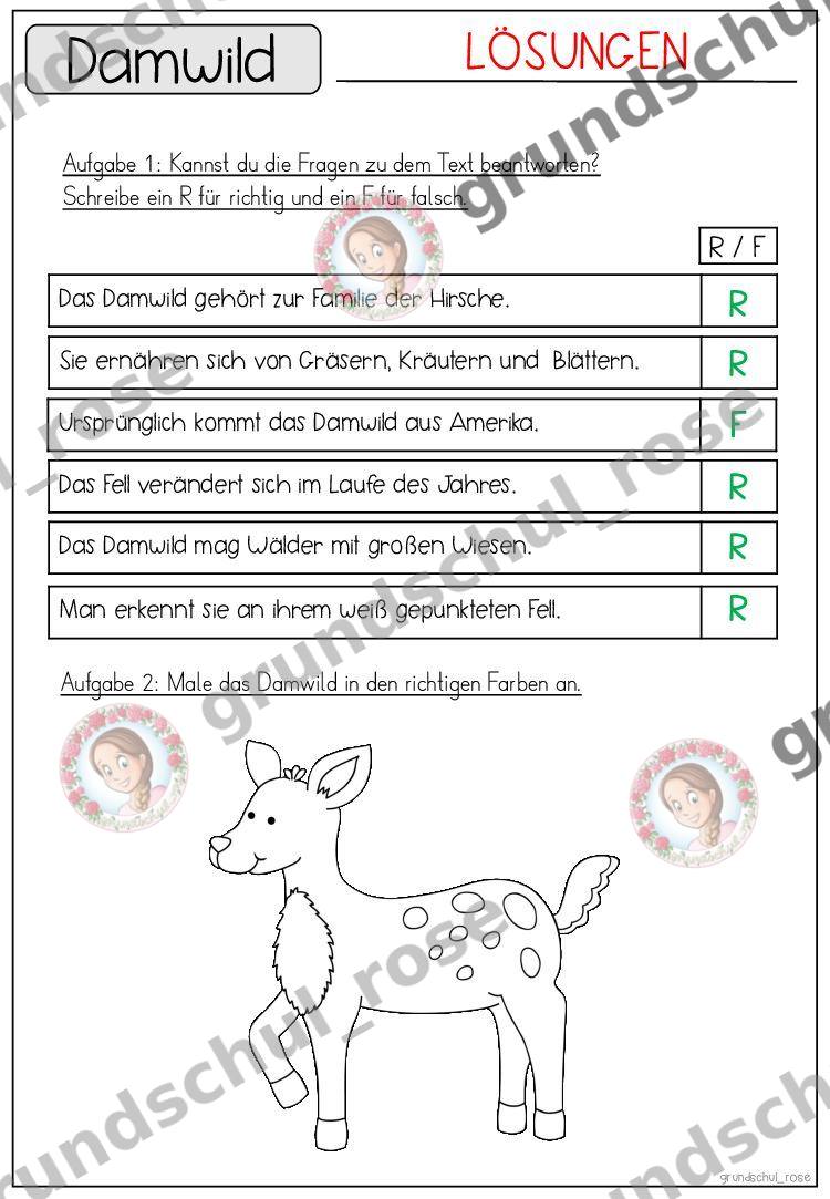 Materialvorschau, Seite 39