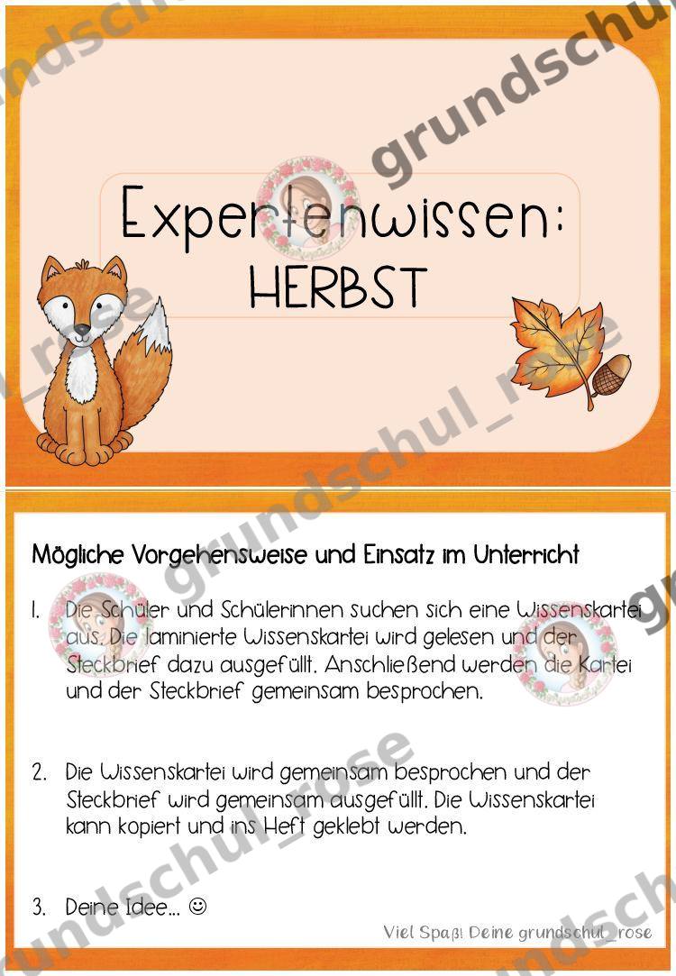 Materialvorschau, Seite 4
