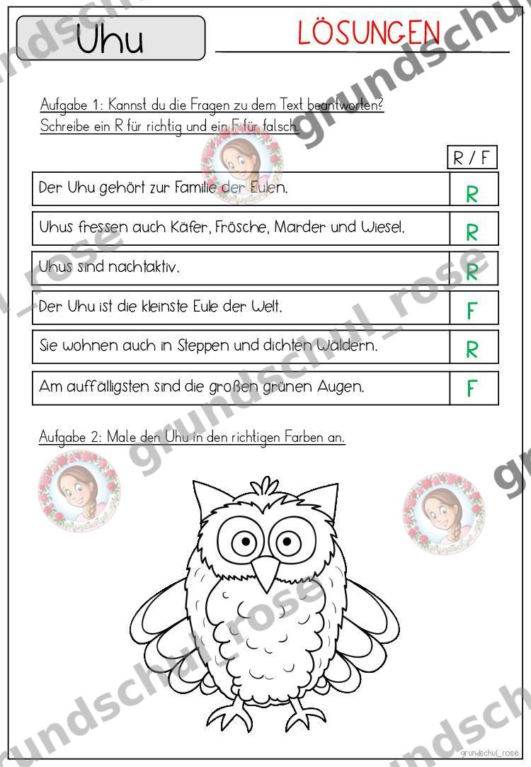 Materialvorschau, Seite 41