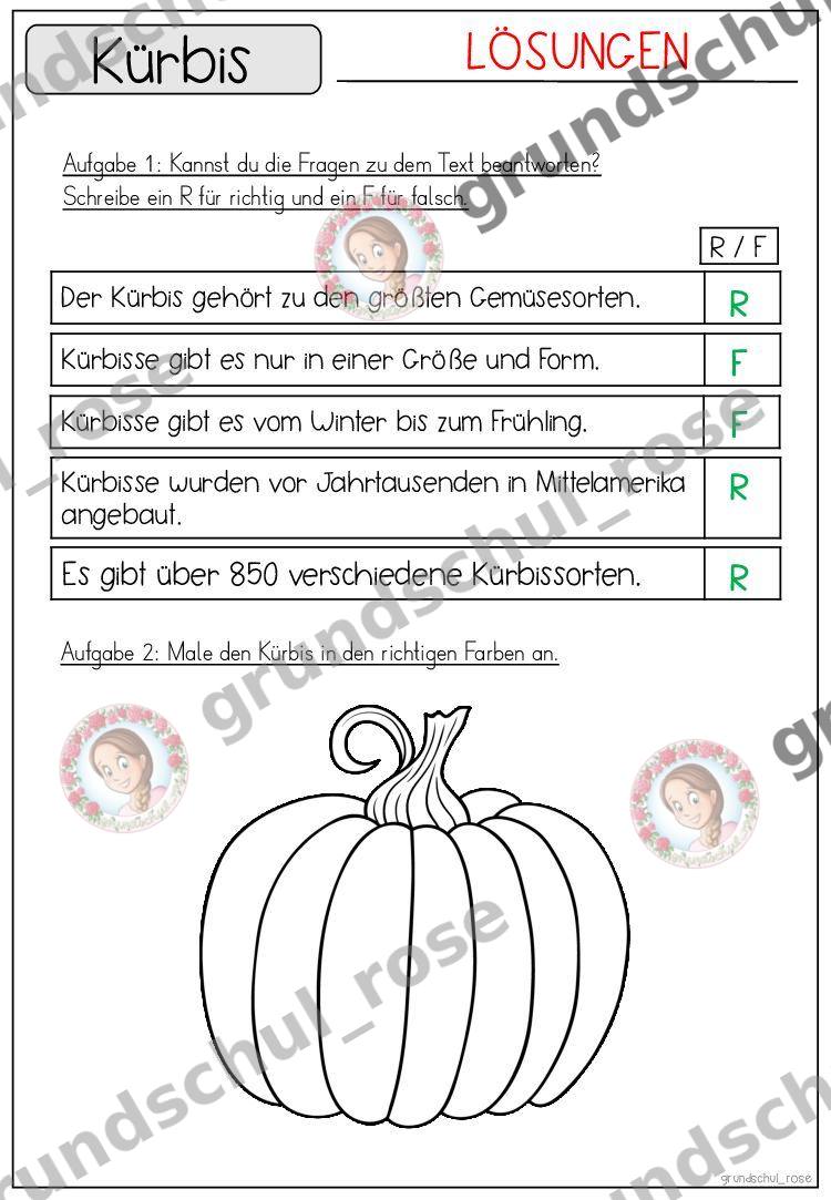 Materialvorschau, Seite 42