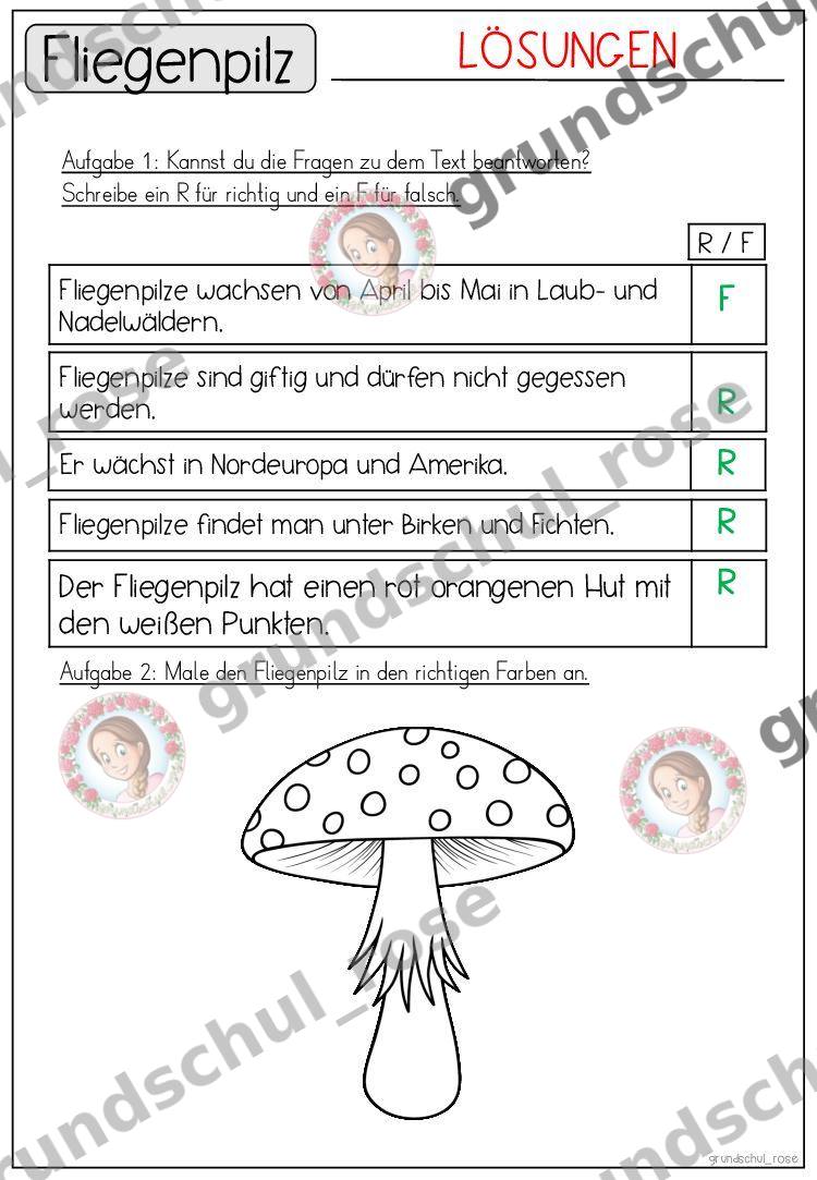 Materialvorschau, Seite 43