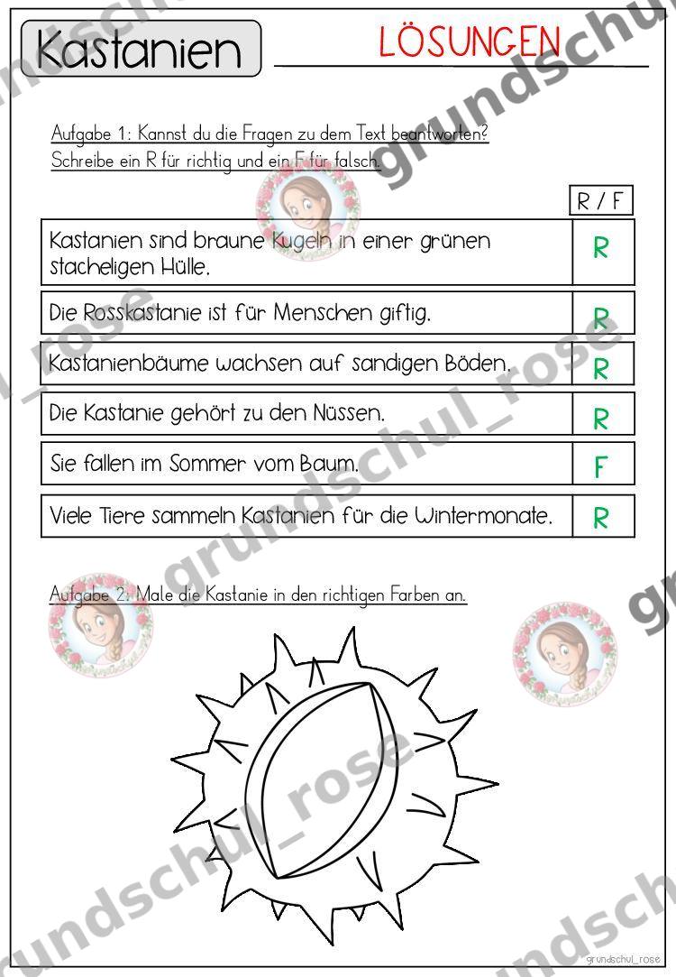 Materialvorschau, Seite 44