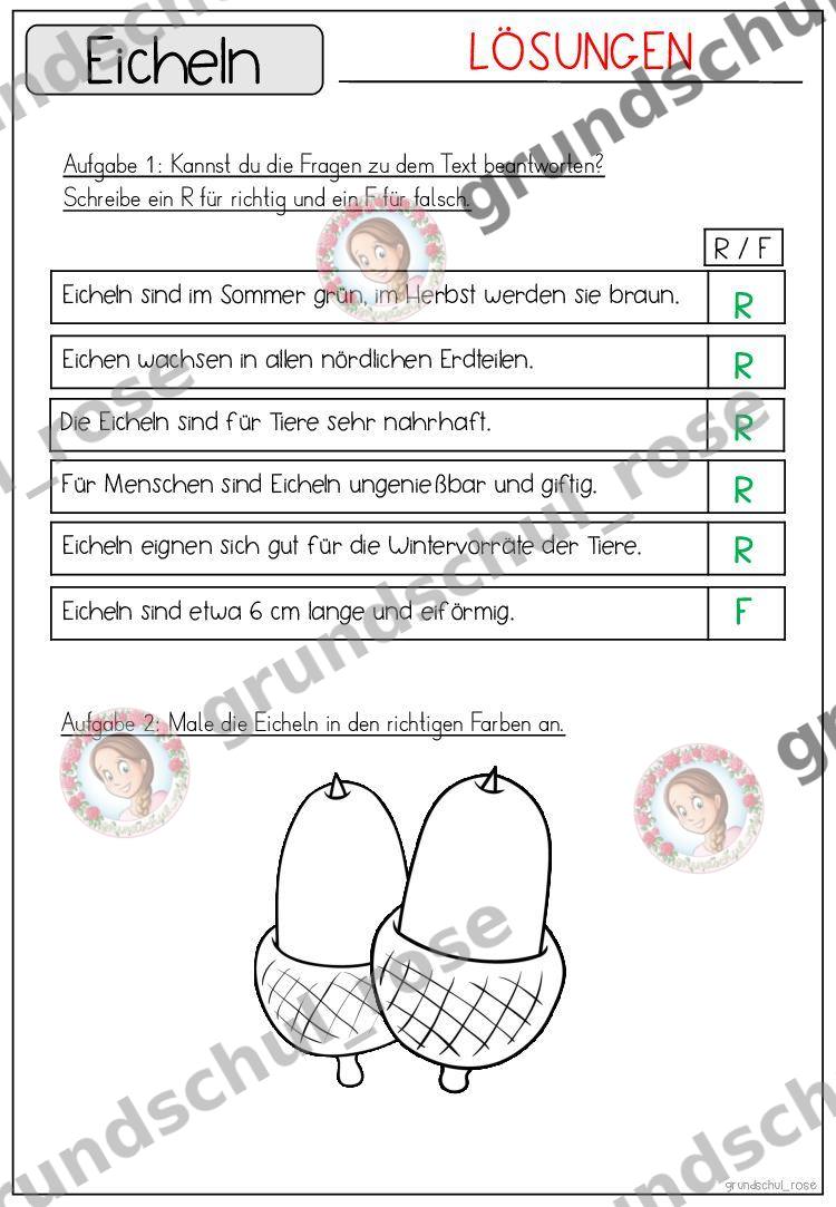 Materialvorschau, Seite 45
