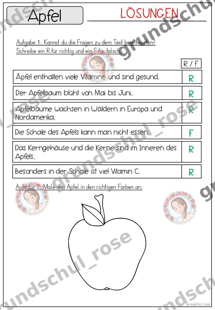 Materialvorschau, Seite 46