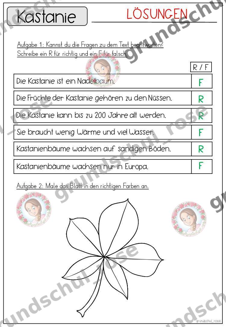 Materialvorschau, Seite 47