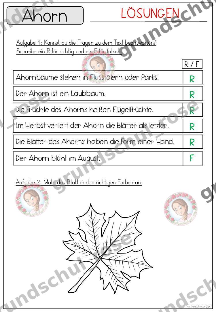 Materialvorschau, Seite 48