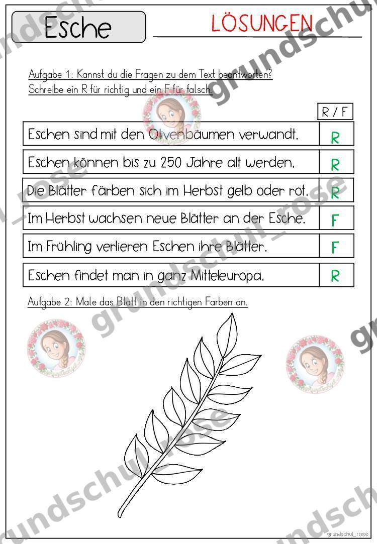 Materialvorschau, Seite 49