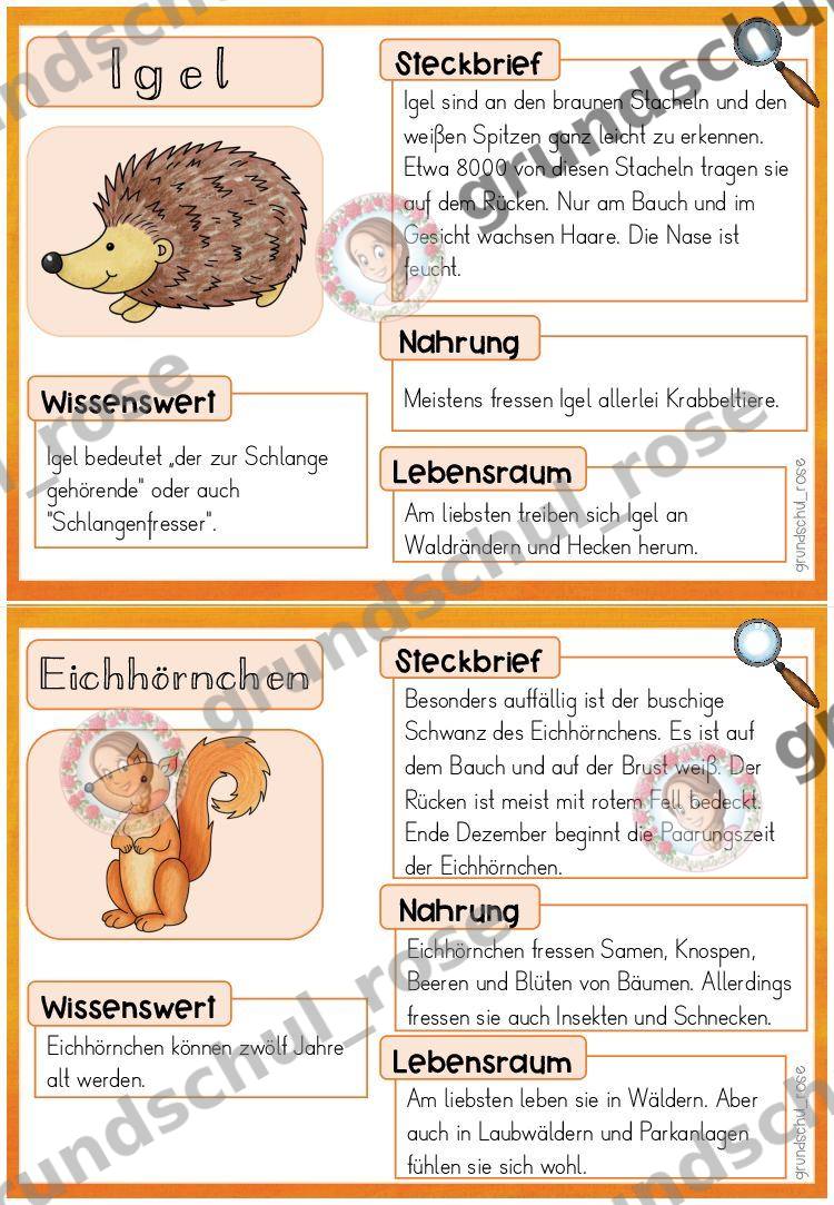 Materialvorschau, Seite 5