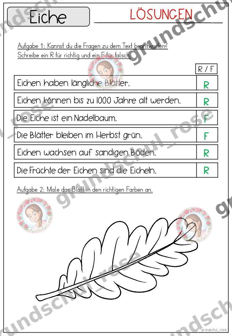 Materialvorschau, Seite 50