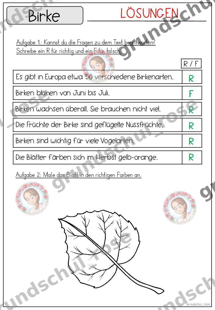 Materialvorschau, Seite 51