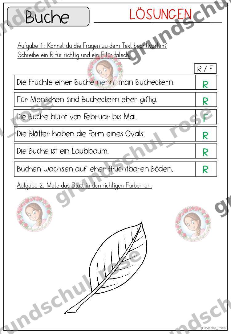 Materialvorschau, Seite 52