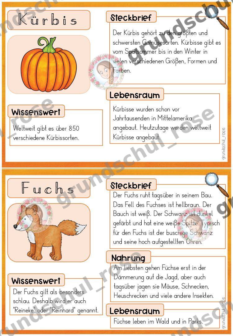 Materialvorschau, Seite 6