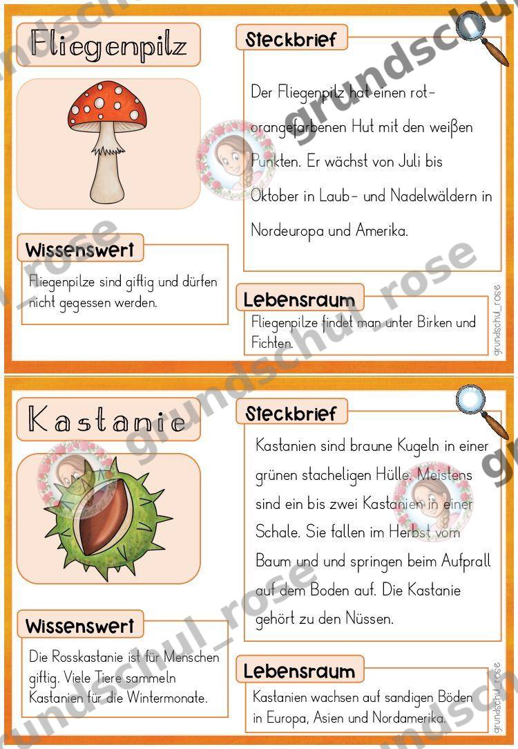 Materialvorschau, Seite 9