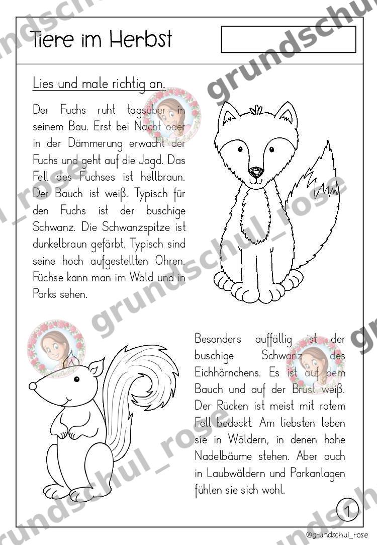 Materialvorschau, Seite 4