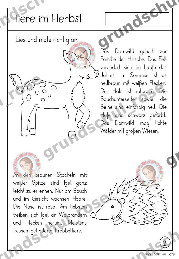 Materialvorschau, Seite 5