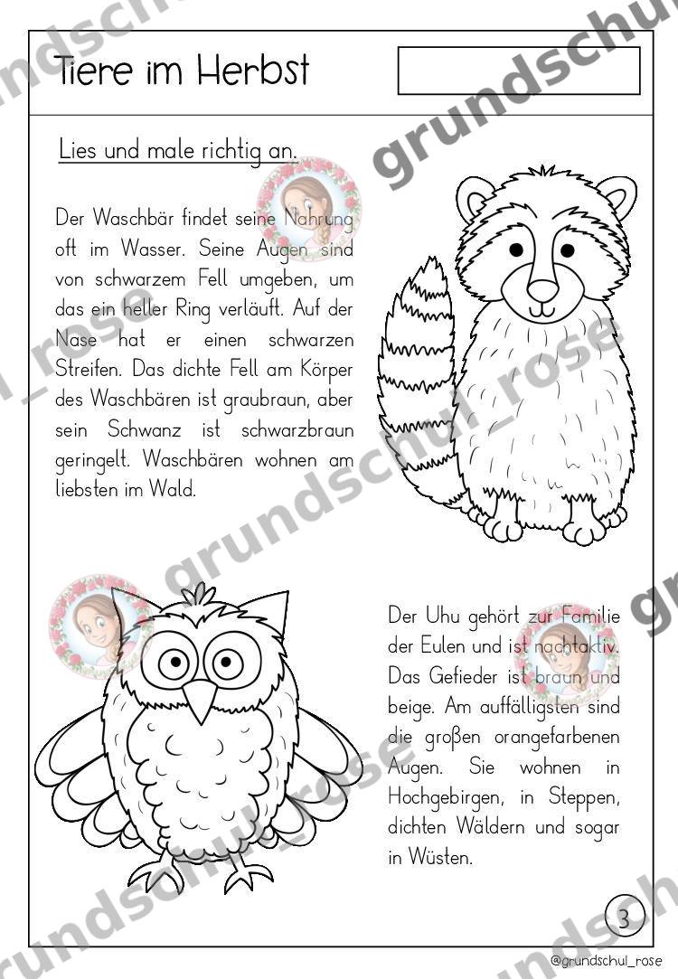 Materialvorschau, Seite 6