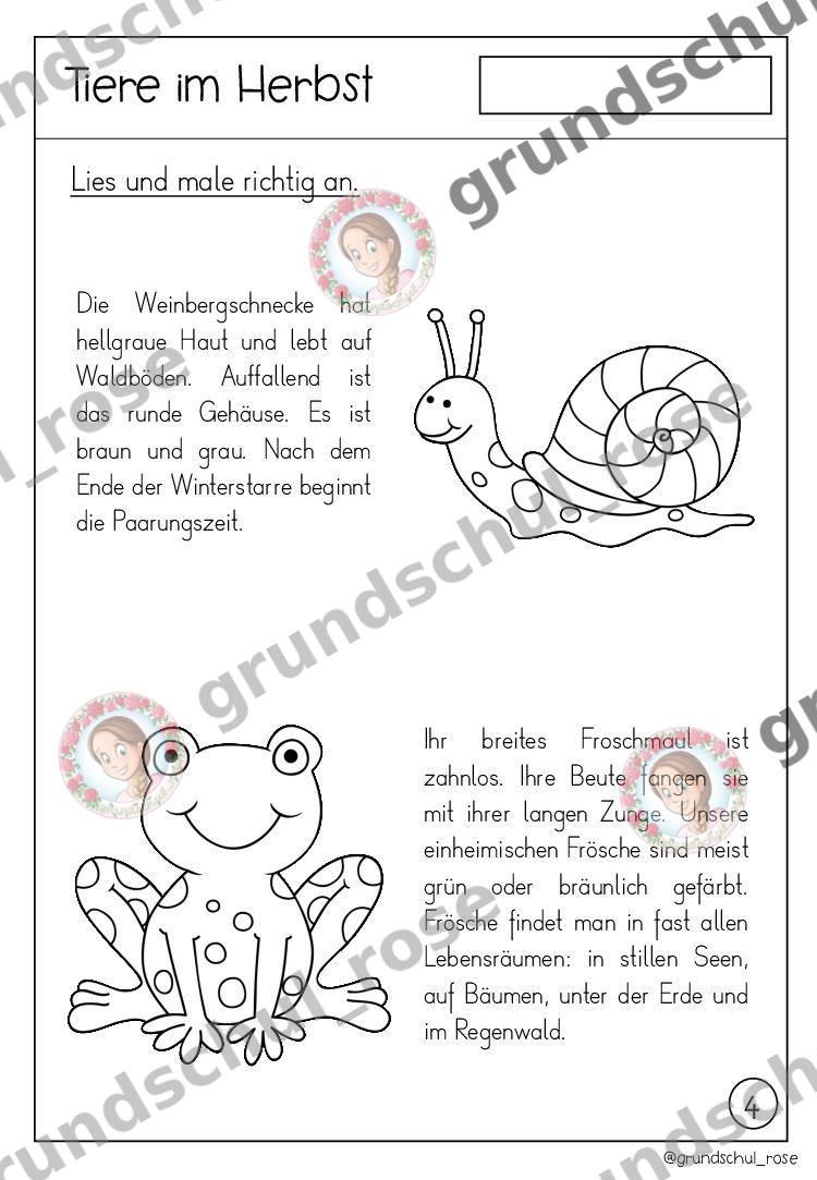 Materialvorschau, Seite 7